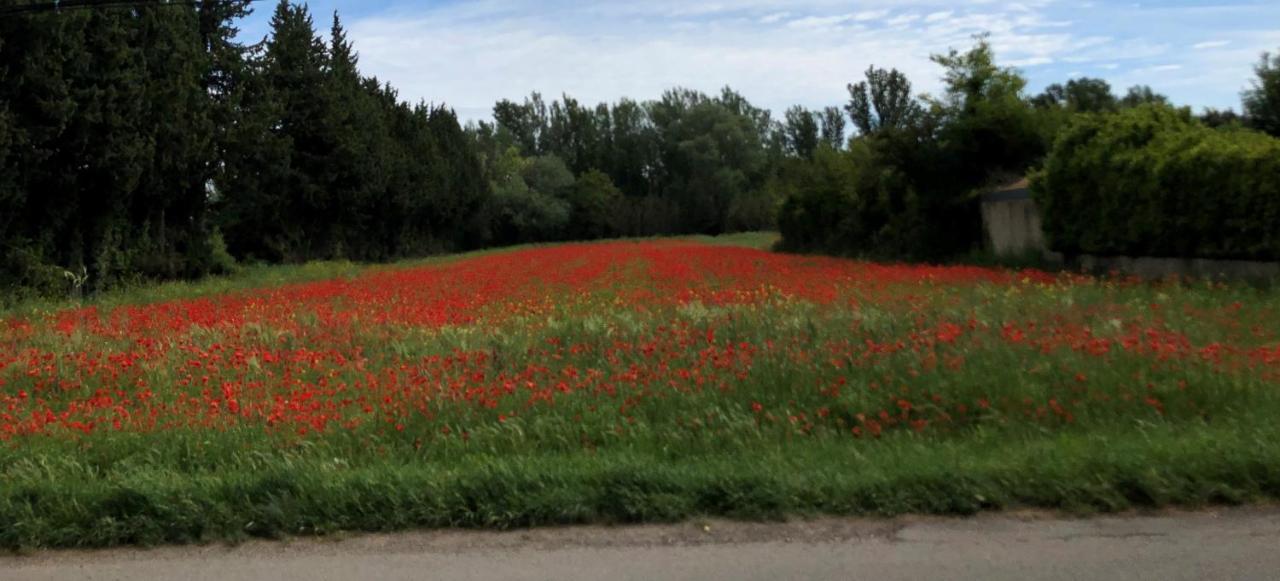 Le Mas Des Flaneraies Althen-des-Paluds Buitenkant foto